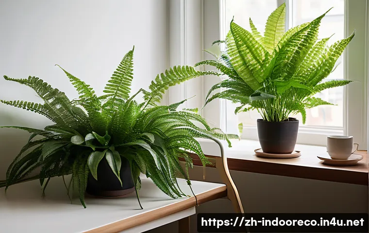 실내 정원 생물 다양성 관련 이미지 2