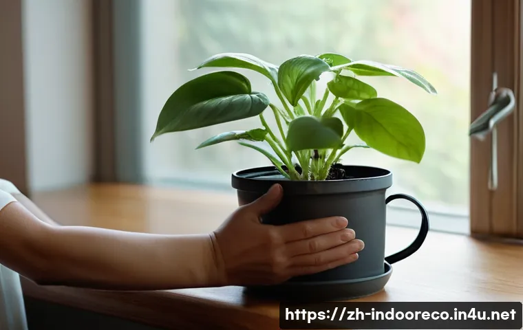 식물로 실내 공기 정화 관련 이미지 1