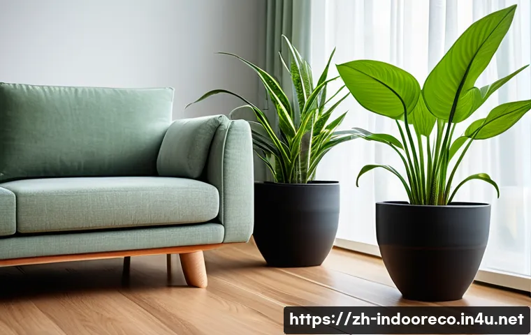 습도 조절을 위한 식물 - A cozy modern living room scene featuring a variety of indoor plants known for their humidifying eff...