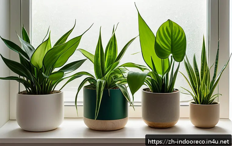 식물 기르기 초보자 가이드 - A cozy indoor scene featuring a beginner-friendly shade-tolerant plant arrangement including lush gr...
